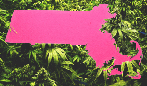 EVERYTHING YOU NEED TO KNOW ABOUT LEGAL WEED IN MASSACHUSETTS